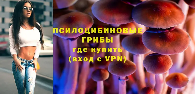 Псилоцибиновые грибы Magic Shrooms  Котлас 